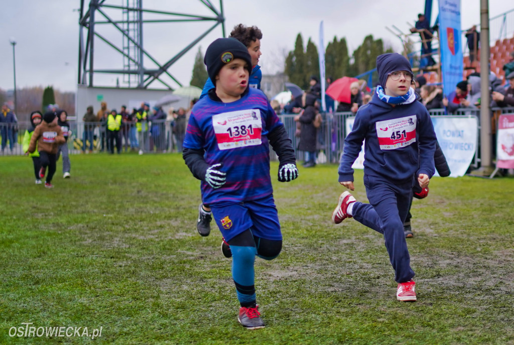 Podstawówki dla Niepodległej