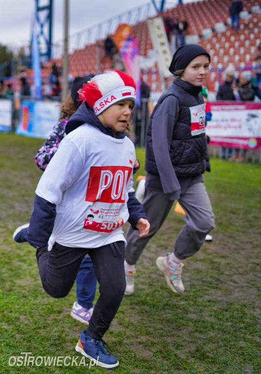 Podstawówki dla Niepodległej