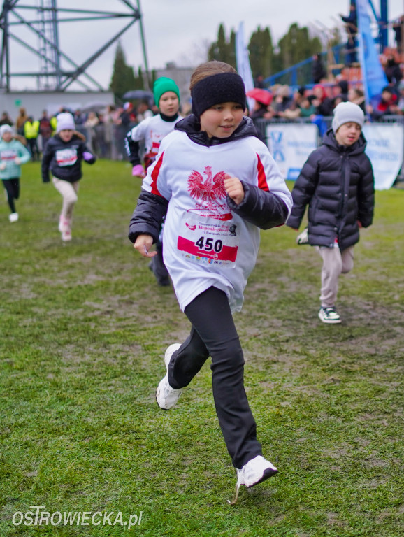 Podstawówki dla Niepodległej