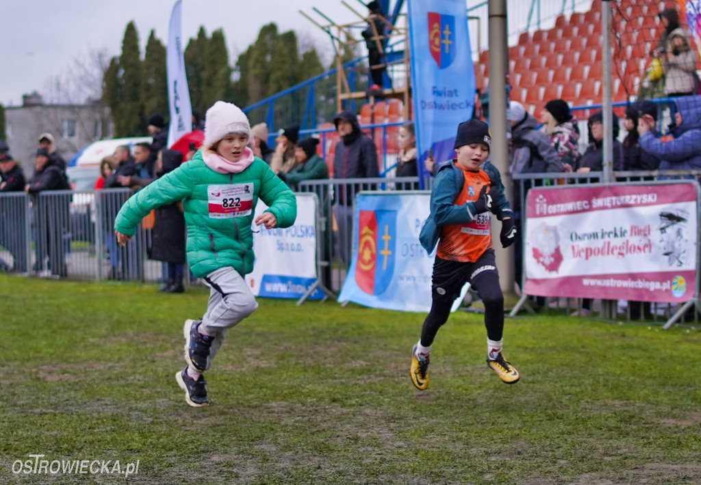 Podstawówki dla Niepodległej