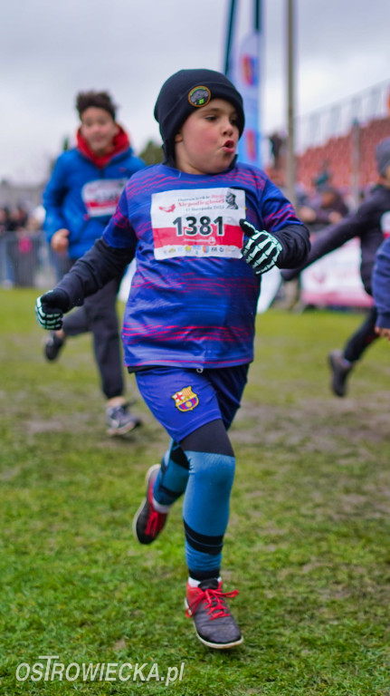 Podstawówki dla Niepodległej