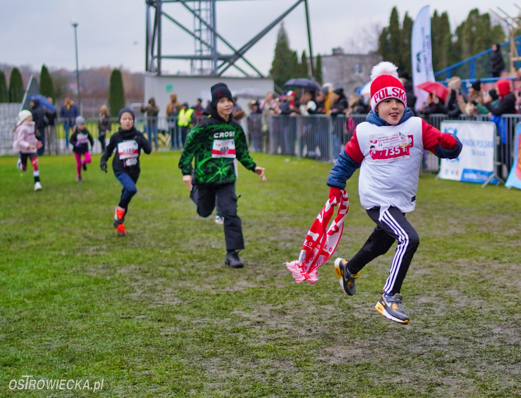 Podstawówki dla Niepodległej