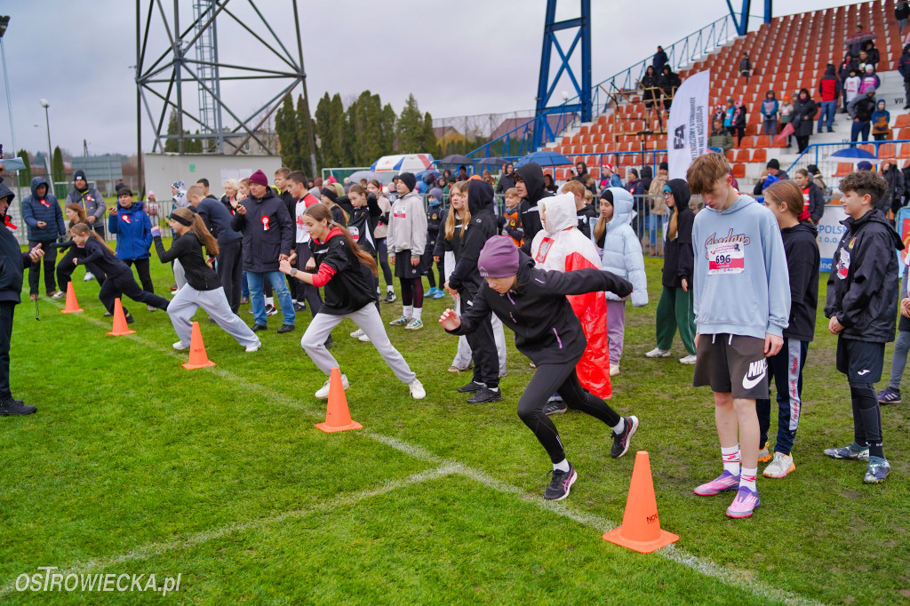 Podstawówki dla Niepodległej