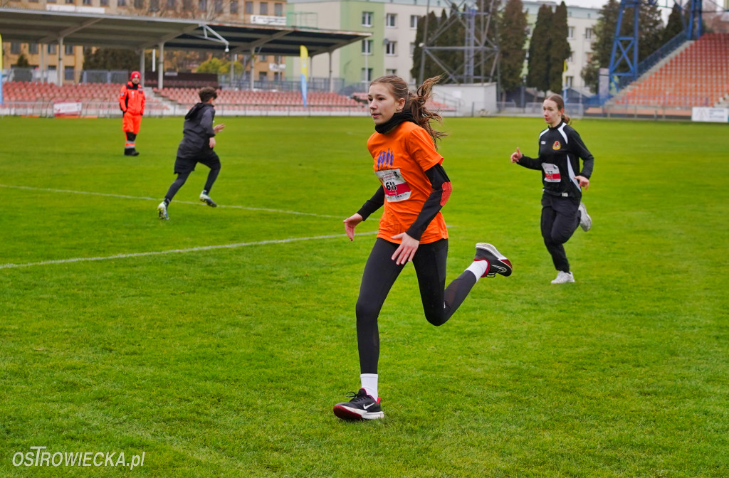 Podstawówki dla Niepodległej