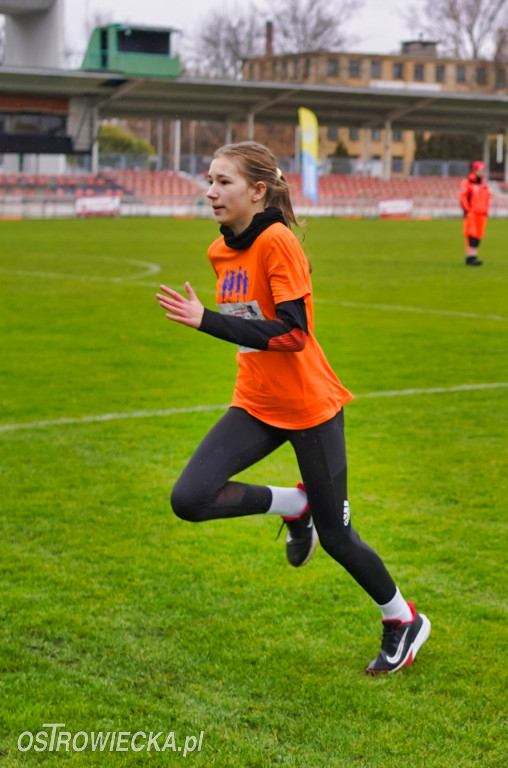 Podstawówki dla Niepodległej