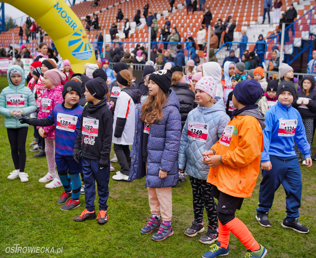 Podstawówki dla Niepodległej