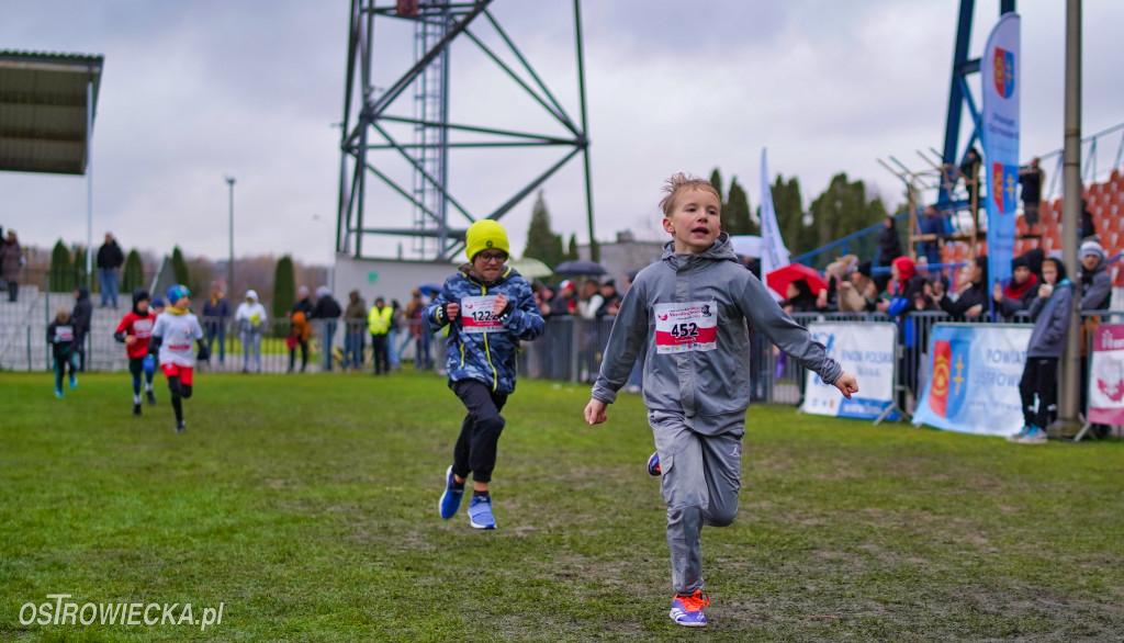 Podstawówki dla Niepodległej