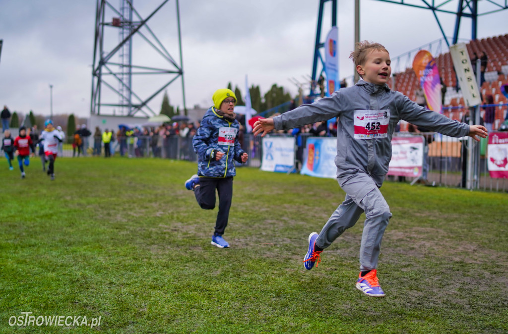 Podstawówki dla Niepodległej