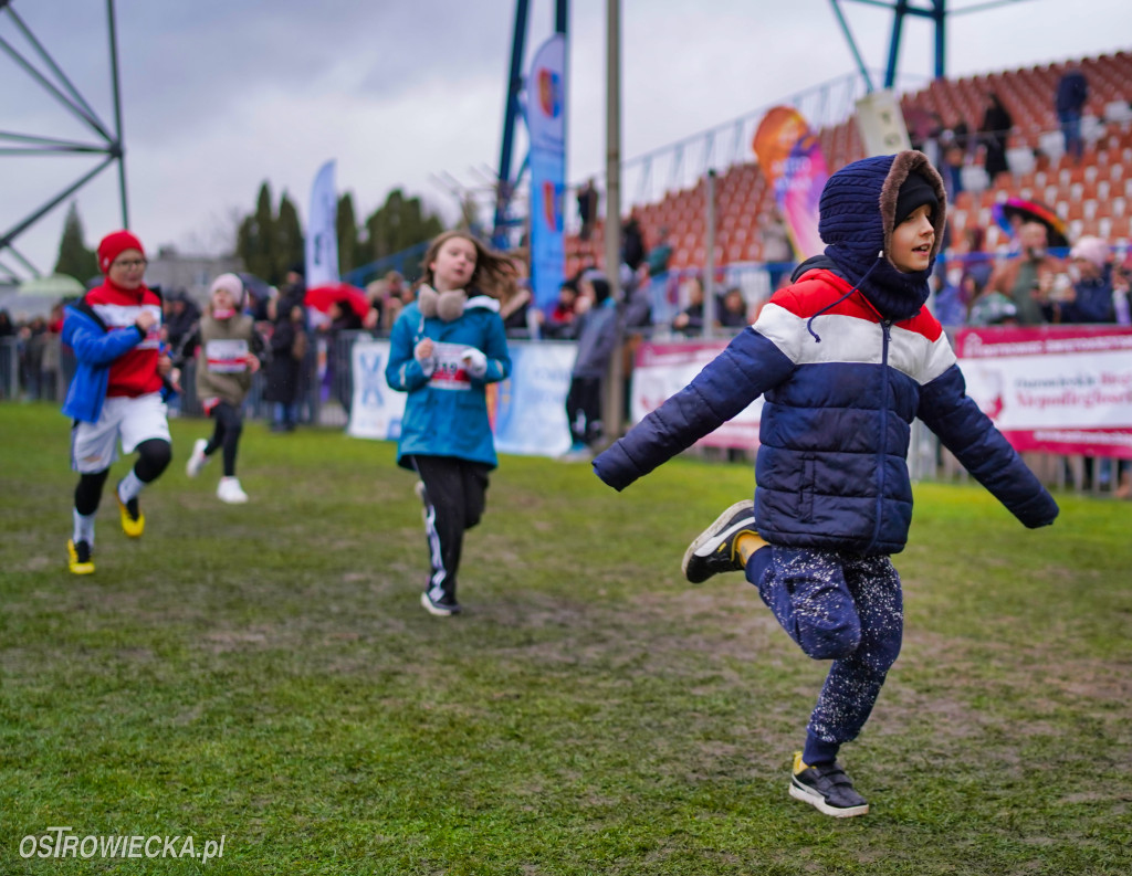 Podstawówki dla Niepodległej