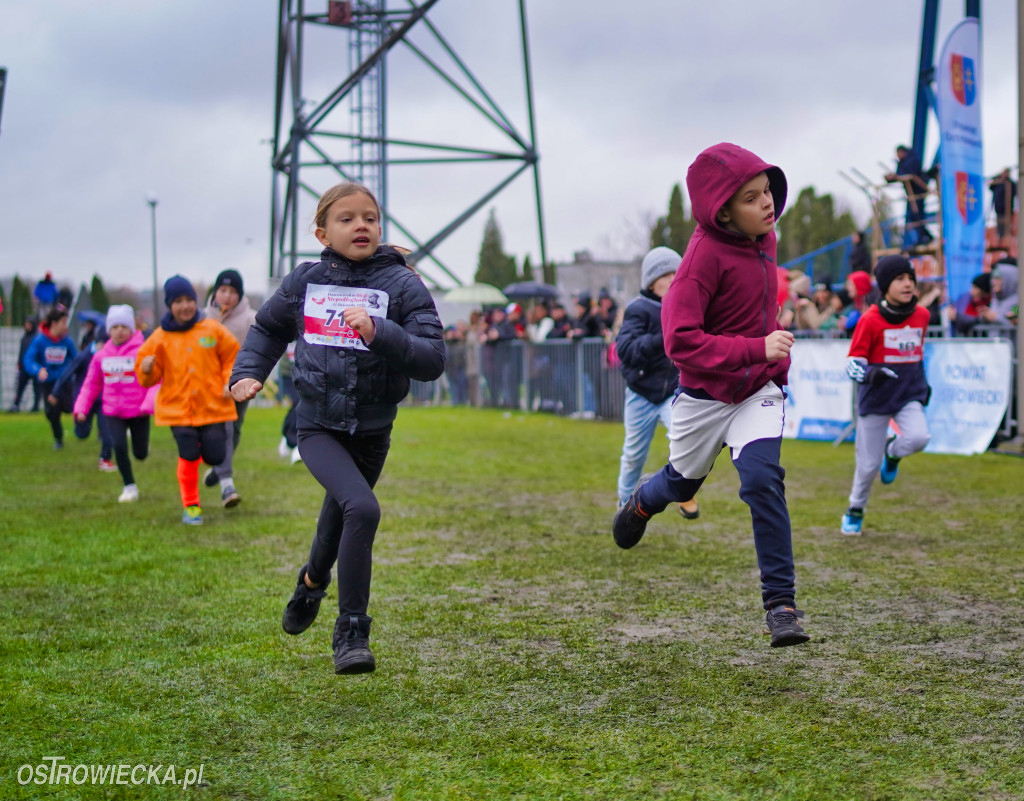 Podstawówki dla Niepodległej