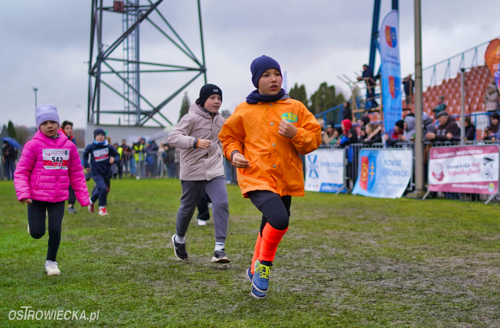 Podstawówki dla Niepodległej