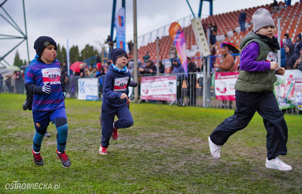 Podstawówki dla Niepodległej