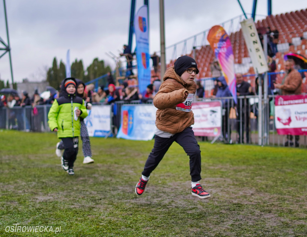 Podstawówki dla Niepodległej