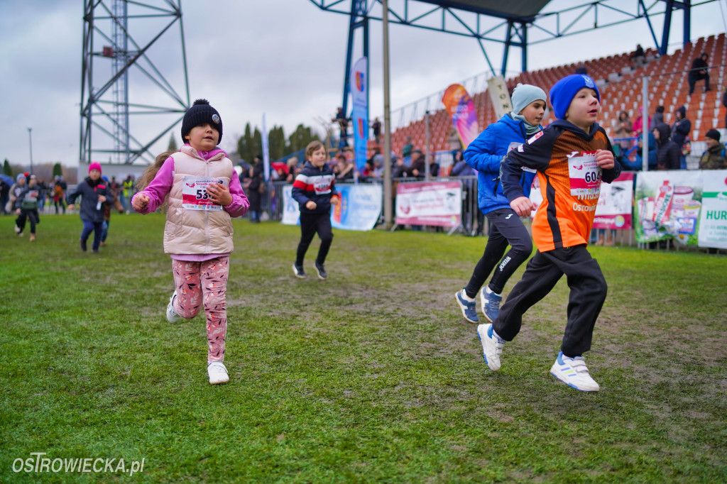 Podstawówki dla Niepodległej