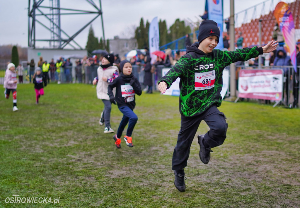 Podstawówki dla Niepodległej