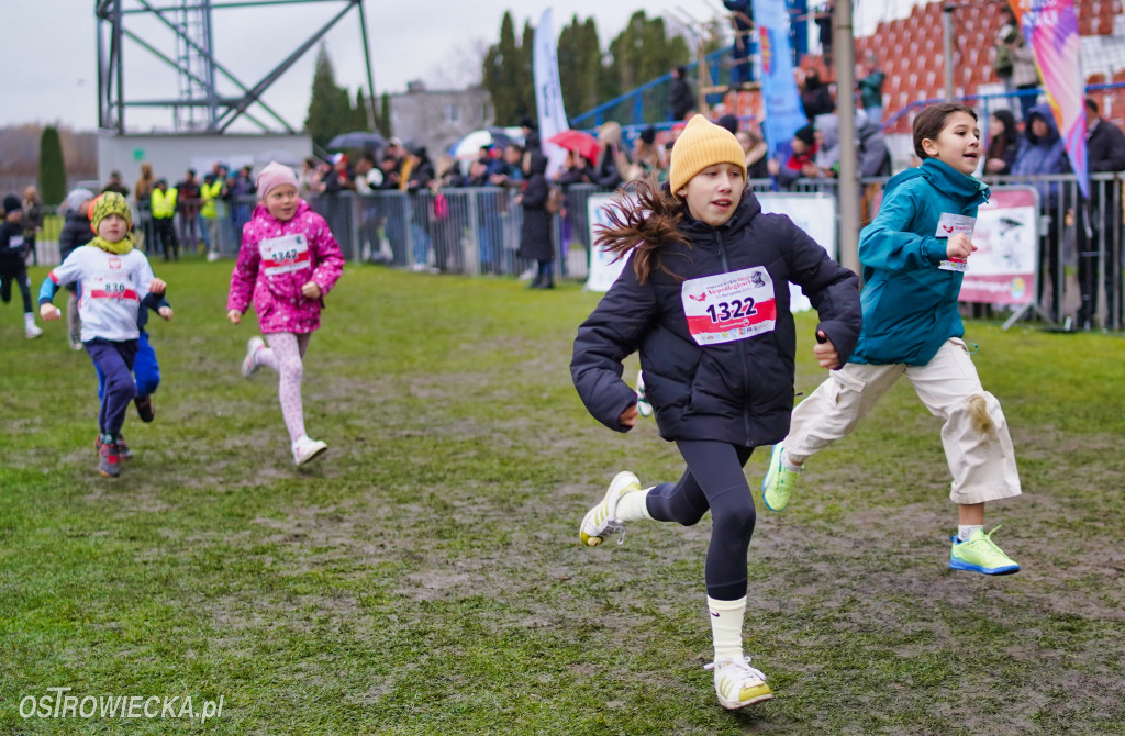 Podstawówki dla Niepodległej