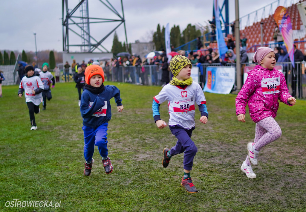 Podstawówki dla Niepodległej