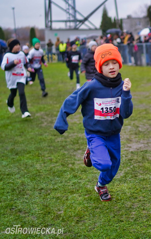 Podstawówki dla Niepodległej