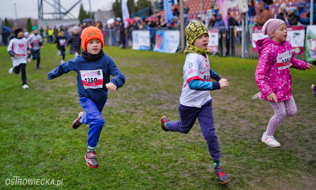 Podstawówki dla Niepodległej