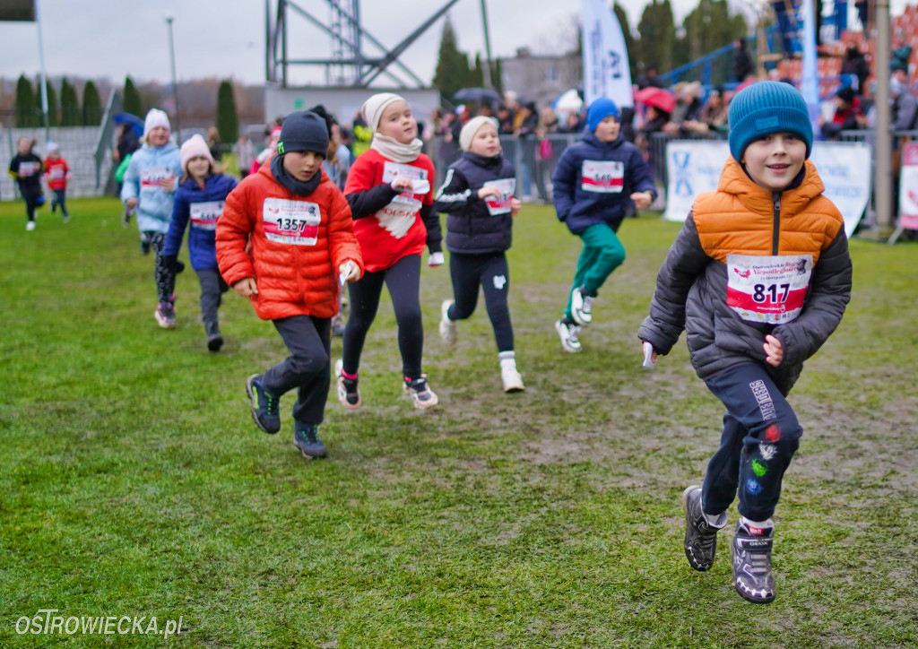 Podstawówki dla Niepodległej