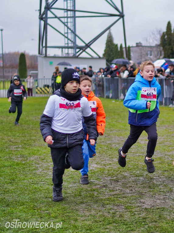 Podstawówki dla Niepodległej