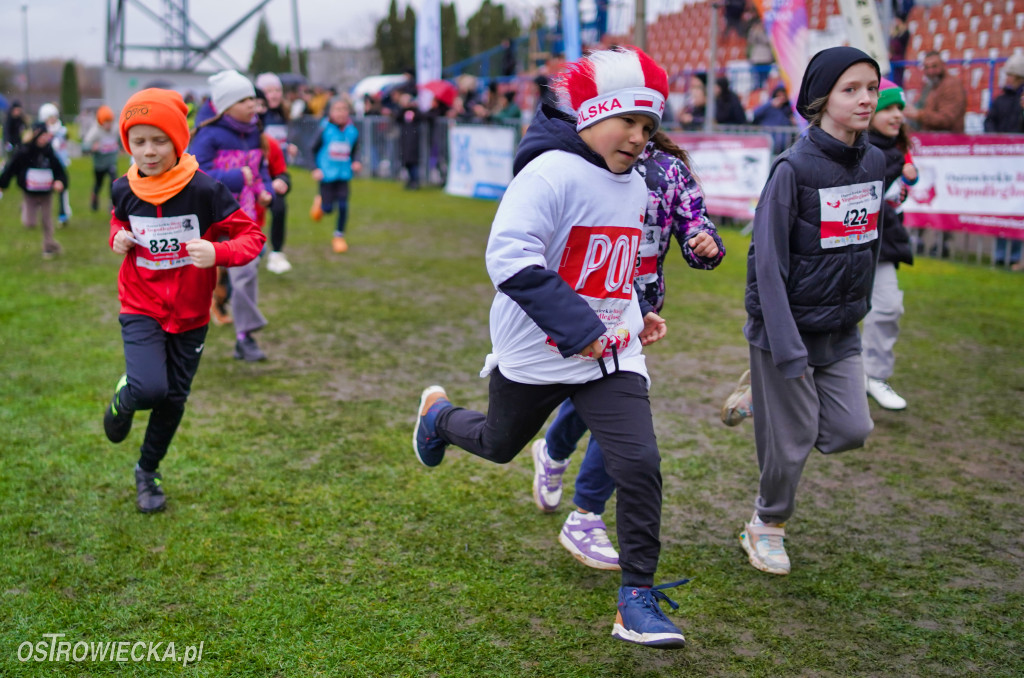 Podstawówki dla Niepodległej