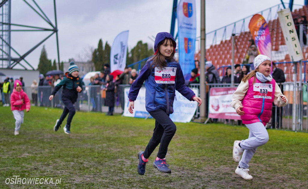 Podstawówki dla Niepodległej