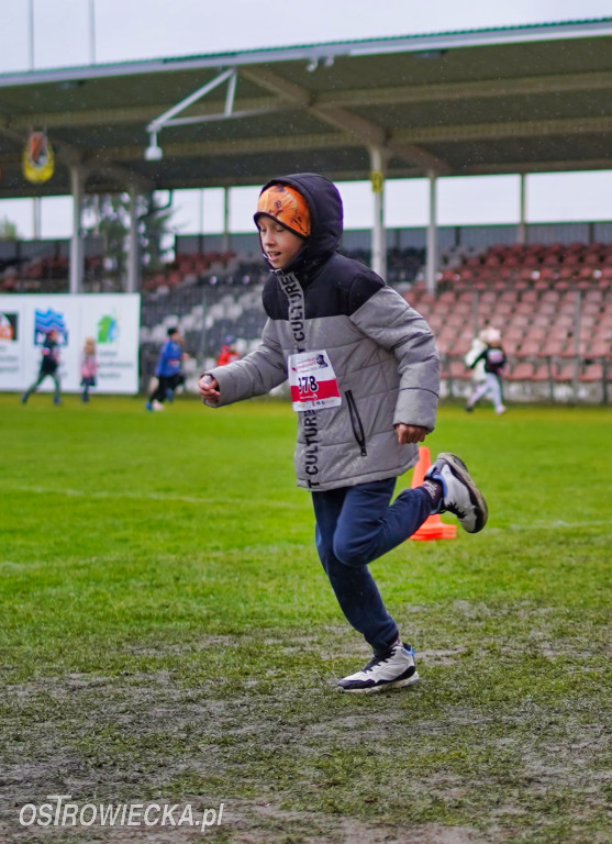 Podstawówki dla Niepodległej