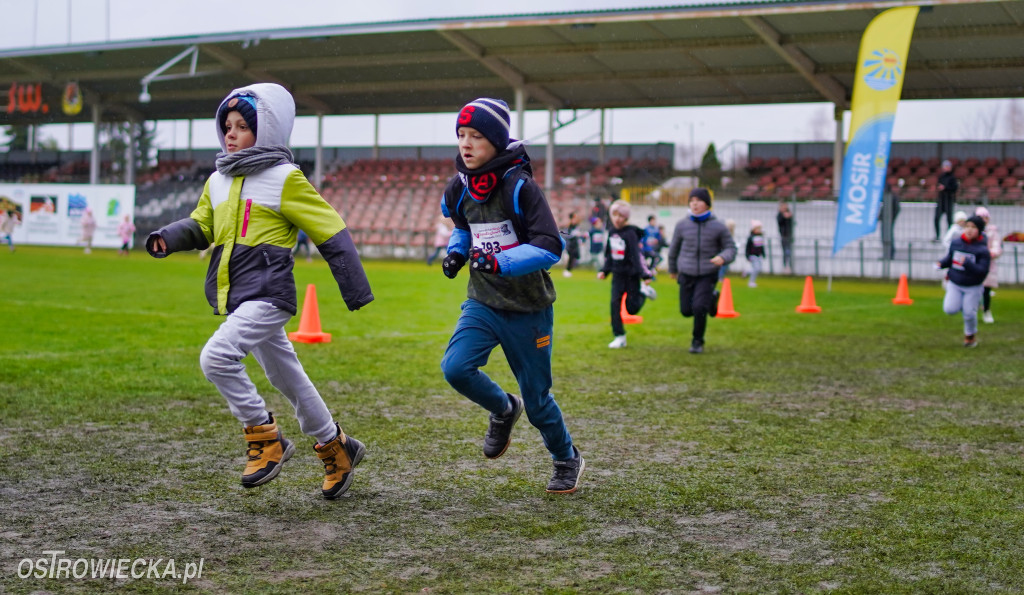 Podstawówki dla Niepodległej