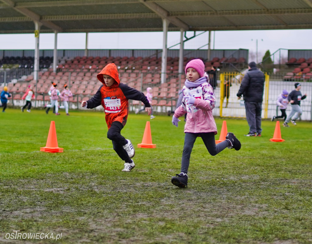Podstawówki dla Niepodległej