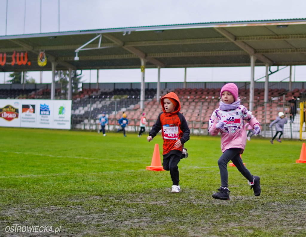 Podstawówki dla Niepodległej