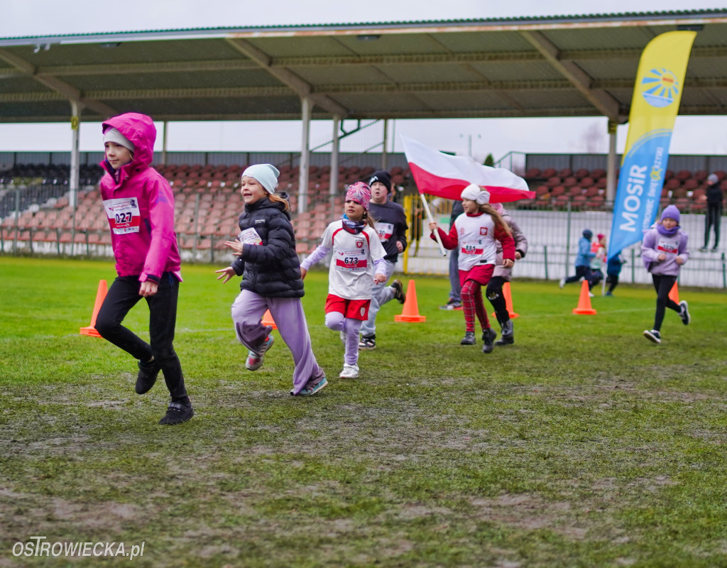Podstawówki dla Niepodległej
