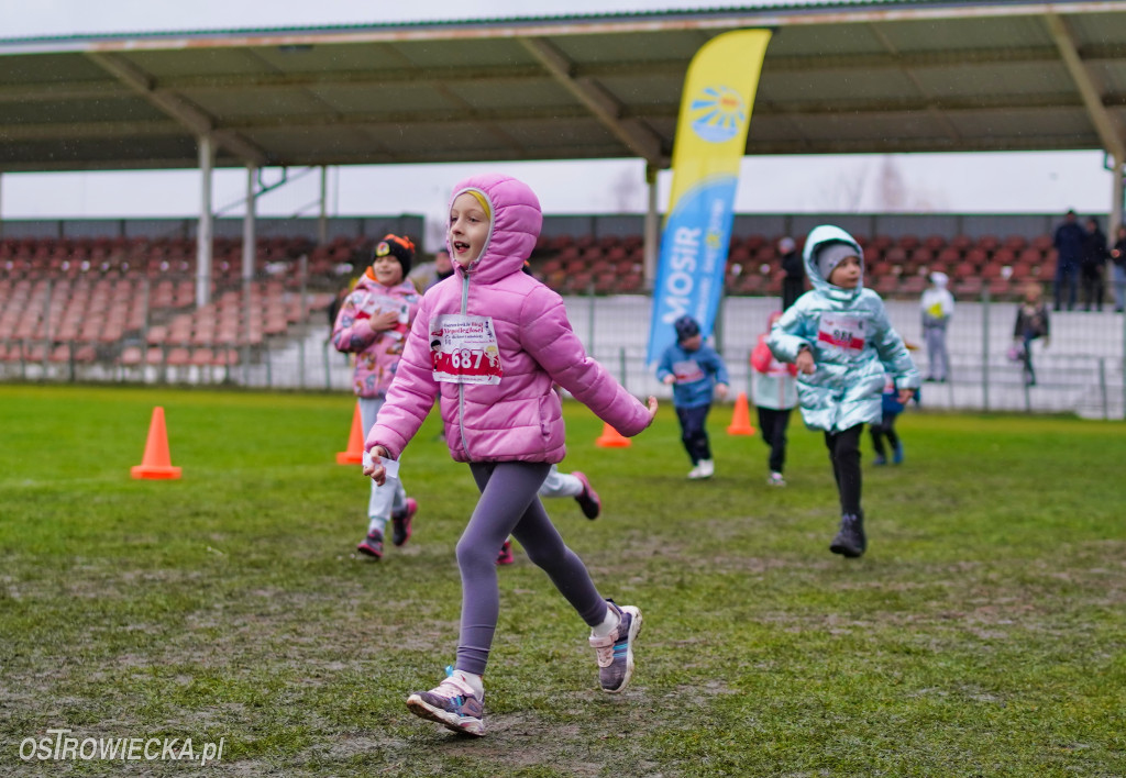 Podstawówki dla Niepodległej