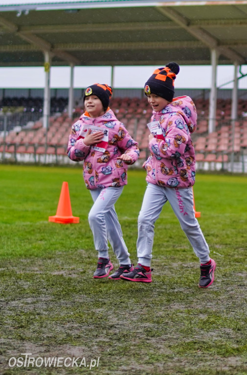 Podstawówki dla Niepodległej