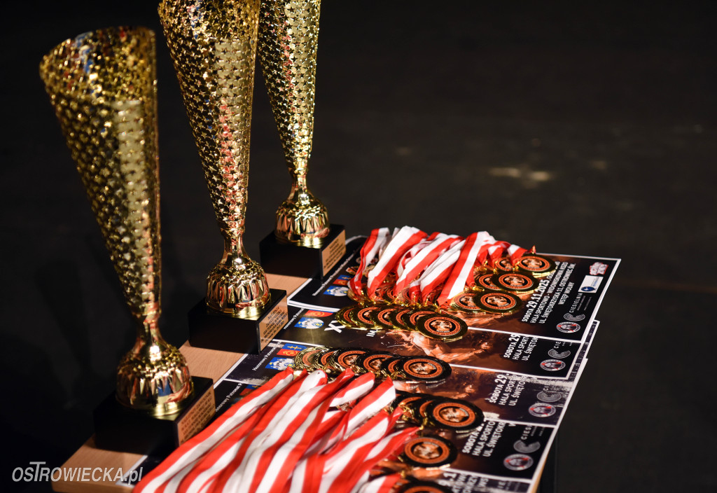 XXX Turniej Bokserski im. Bronisława Kubickiego