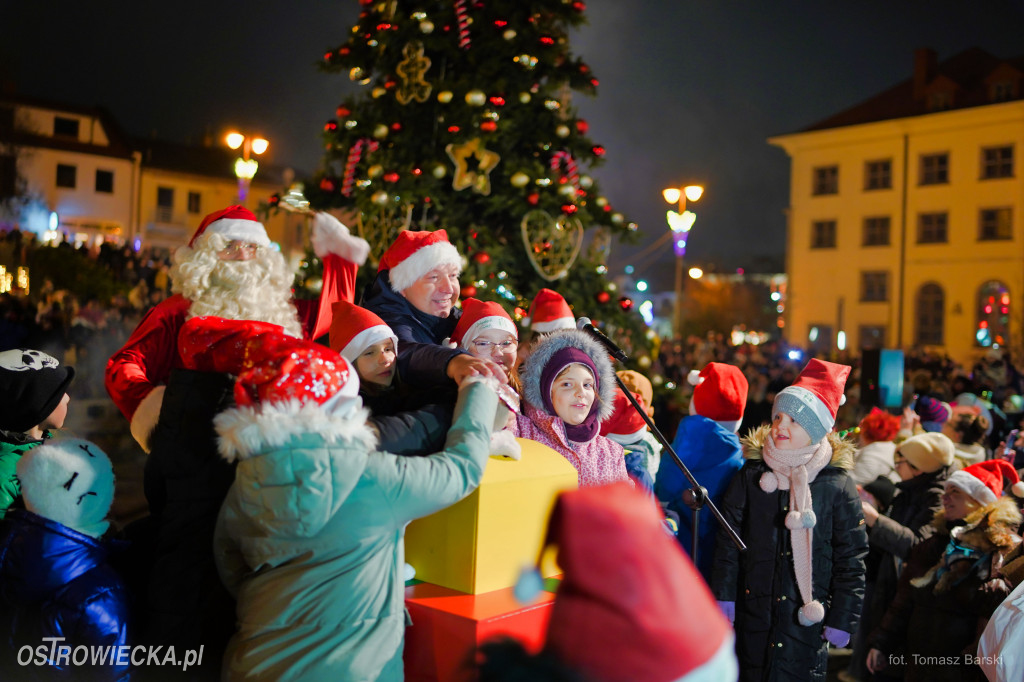 Choinka na Rynku rozświetlona!