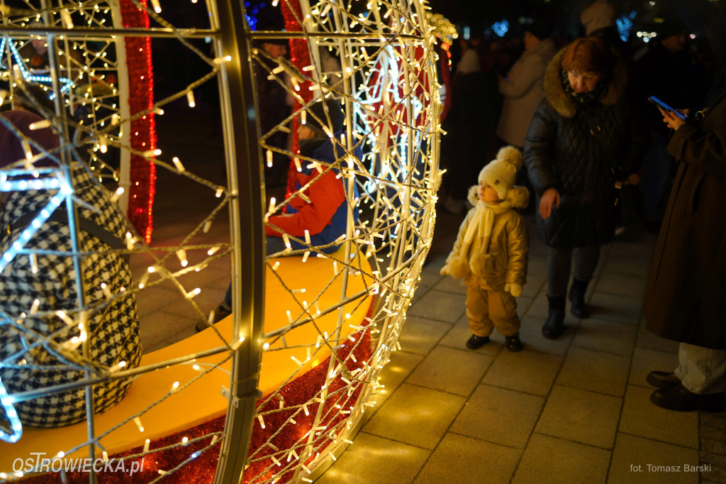 Choinka na Rynku rozświetlona!