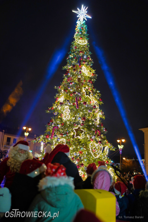 Choinka na Rynku rozświetlona!