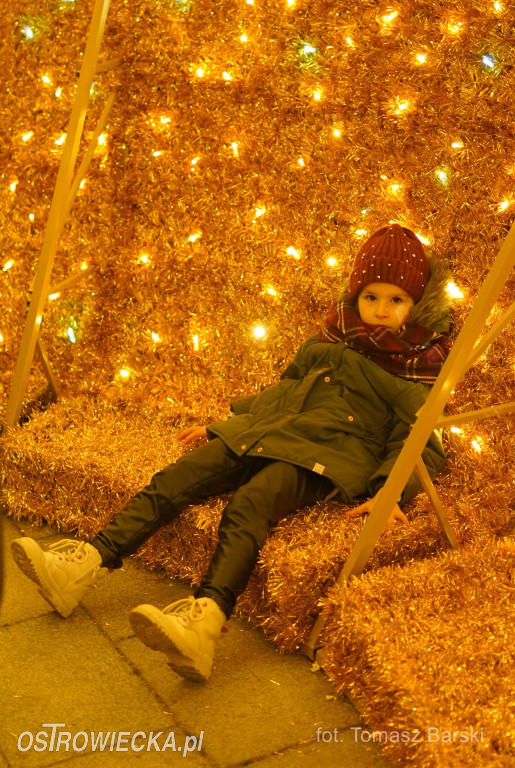 Choinka na Rynku rozświetlona!