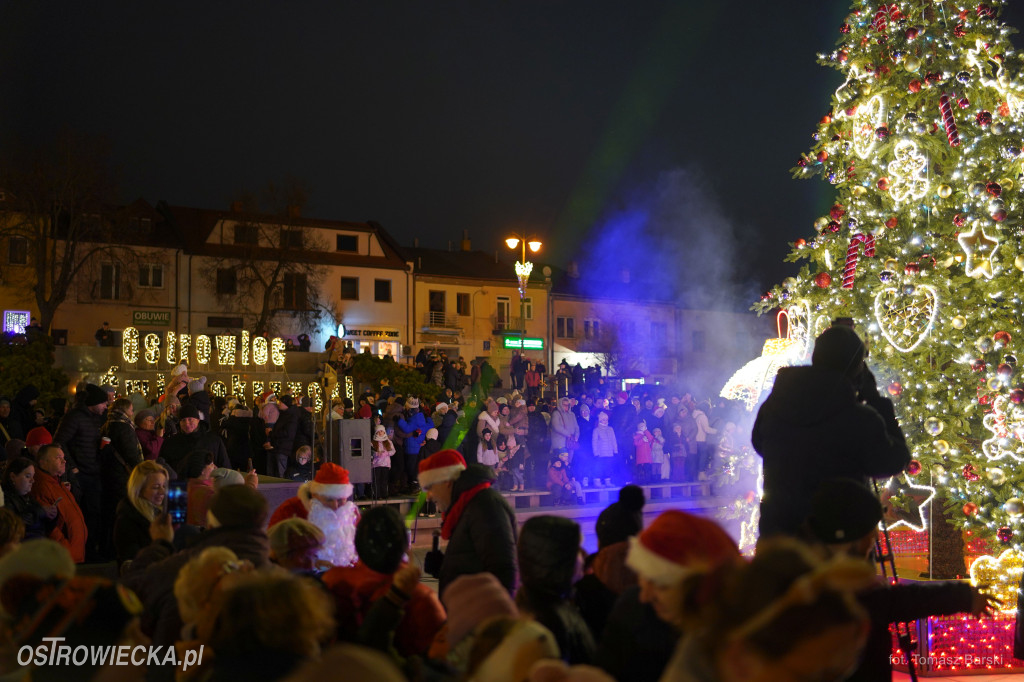 Choinka na Rynku rozświetlona!