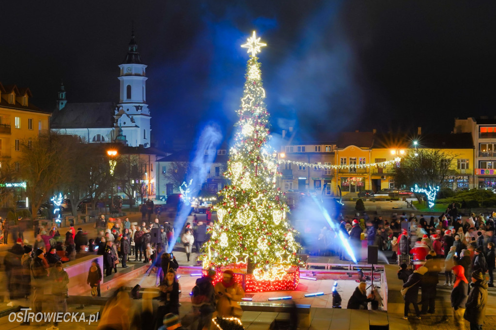 Choinka na Rynku rozświetlona!