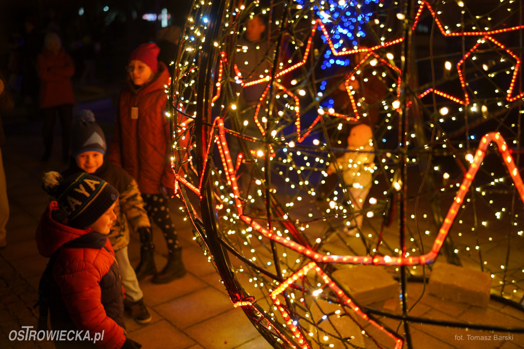 Choinka na Rynku rozświetlona!