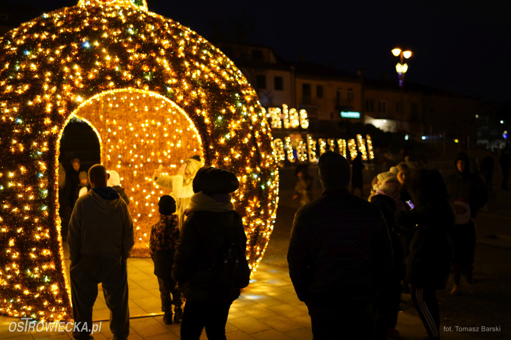 Choinka na Rynku rozświetlona!