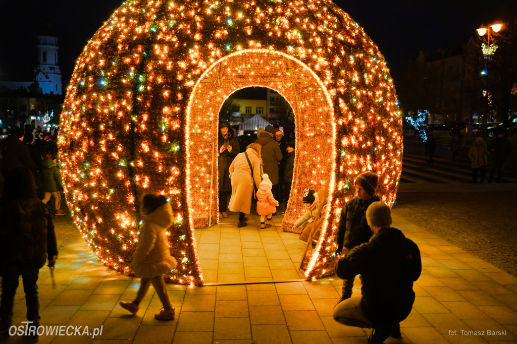 Choinka na Rynku rozświetlona!
