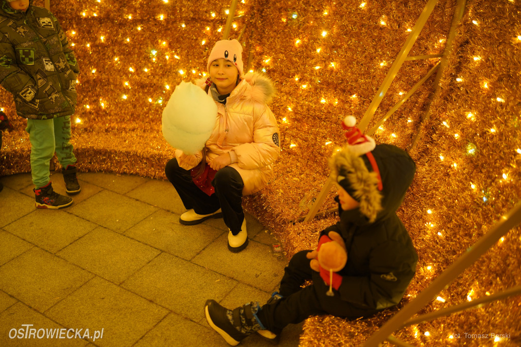 Choinka na Rynku rozświetlona!