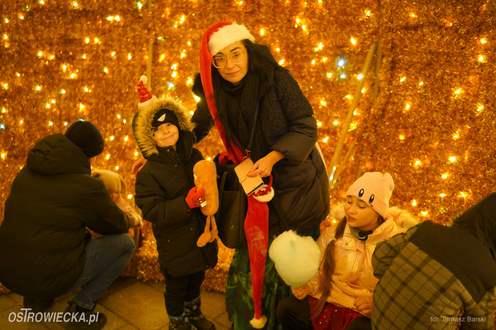 Choinka na Rynku rozświetlona!