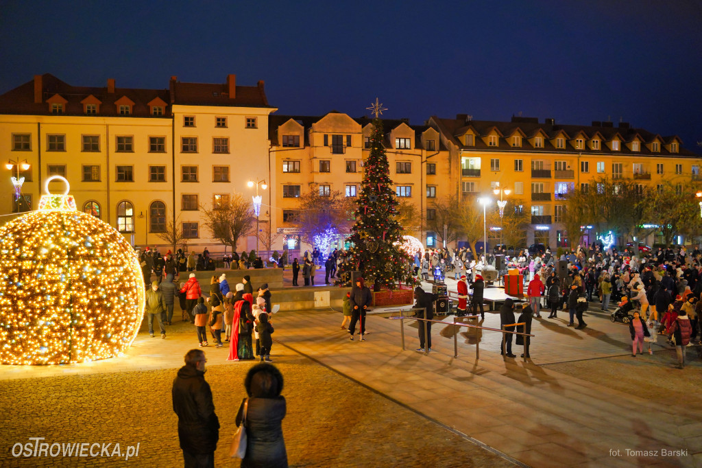 Choinka na Rynku rozświetlona!