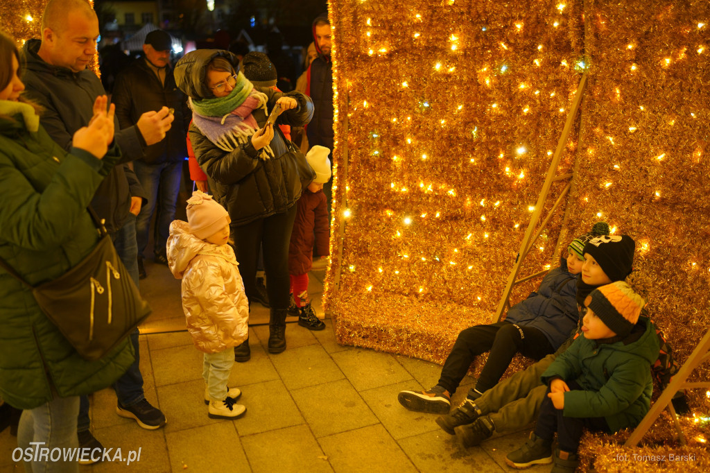 Choinka na Rynku rozświetlona!