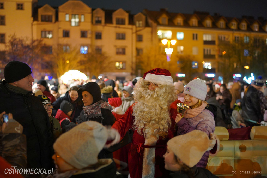 Choinka na Rynku rozświetlona!