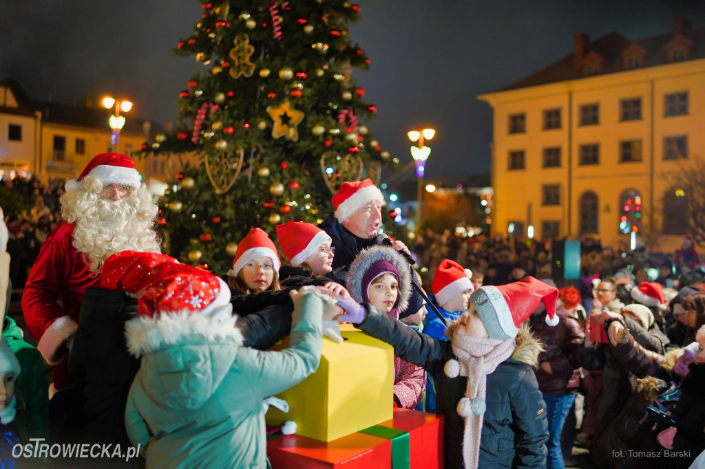 Choinka na Rynku rozświetlona!